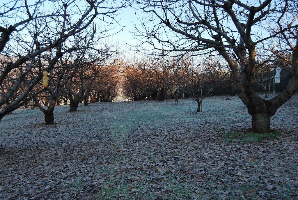 Tenuta Fortelongo Fara Vicentino Exterior photo